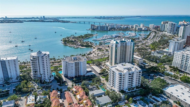 aerial view with a water view