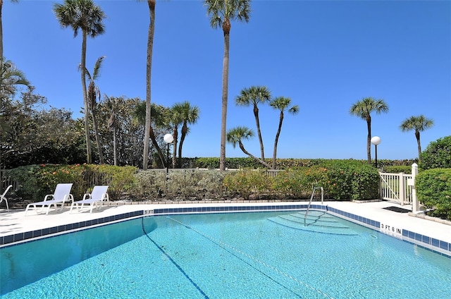 view of swimming pool