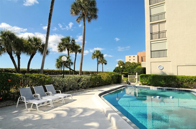 view of pool featuring a patio area