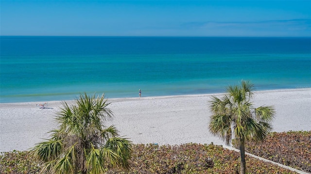 view of water feature featuring a view of the beach