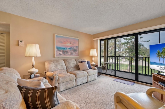 carpeted living room featuring a textured ceiling