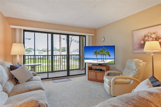 living room featuring a textured ceiling and carpet flooring