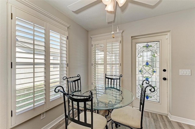 dining room with a wealth of natural light, ceiling fan, and light wood-type flooring