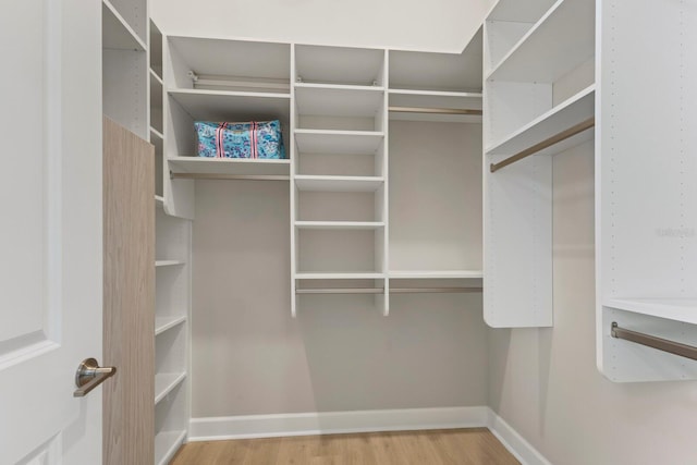 walk in closet featuring light hardwood / wood-style floors