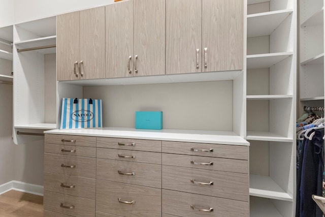 spacious closet featuring hardwood / wood-style flooring