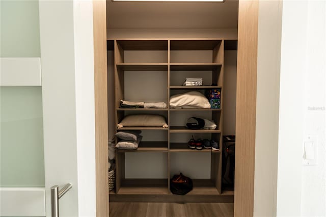 view of closet