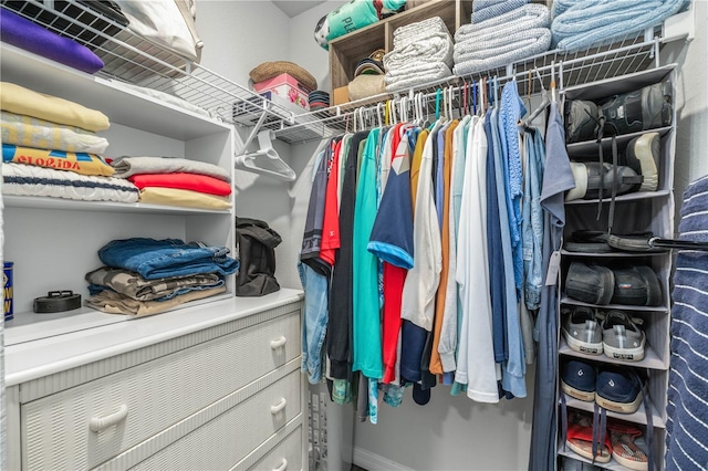 view of walk in closet