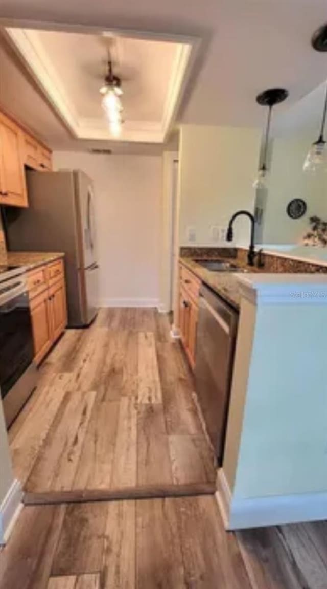 kitchen with stainless steel appliances, a raised ceiling, sink, and light brown cabinets