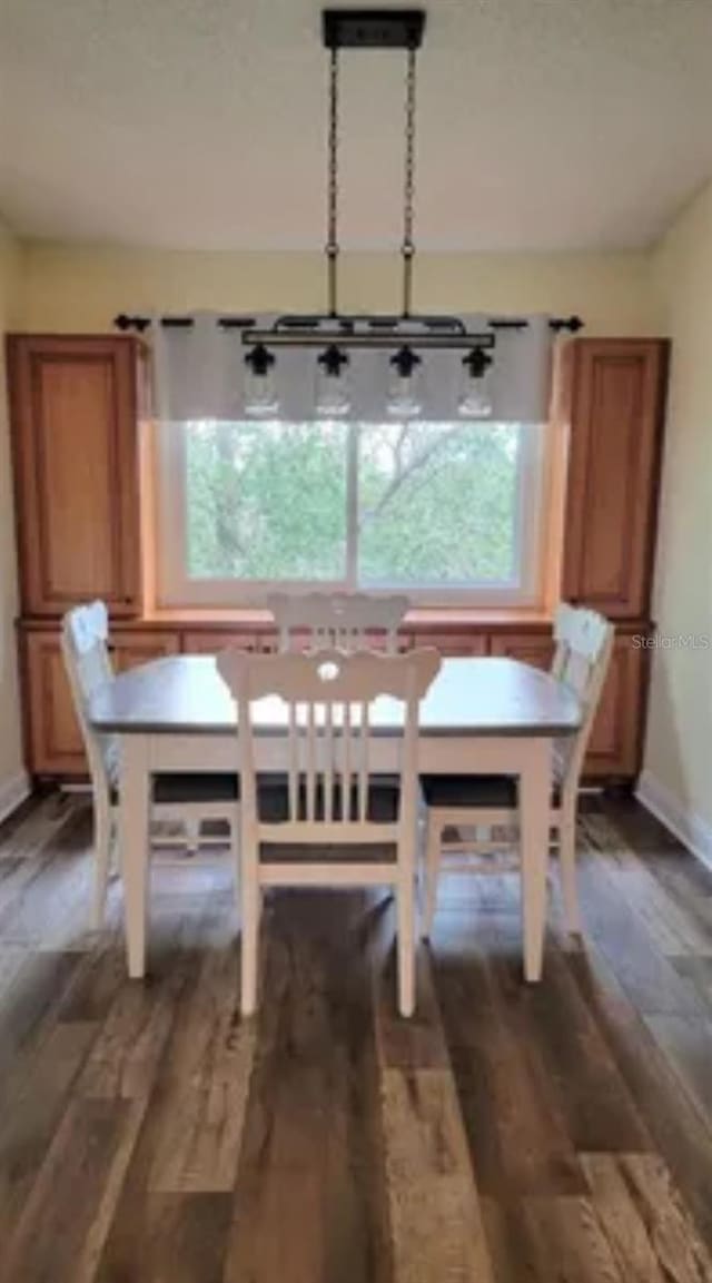 unfurnished dining area featuring dark wood-type flooring