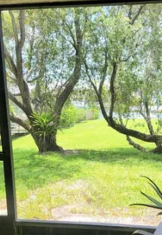 625 Duchess Blvd, Dunedin, FL 34698 - view of green lawn