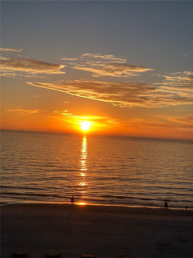 625 Duchess Blvd, Dunedin, FL 34698 - water view