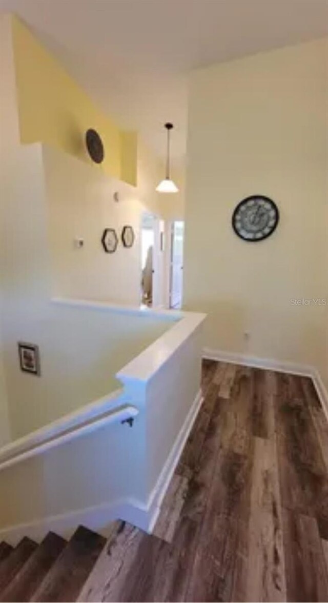 625 Duchess Blvd, Dunedin, FL 34698 - hallway with wood finished floors and baseboards