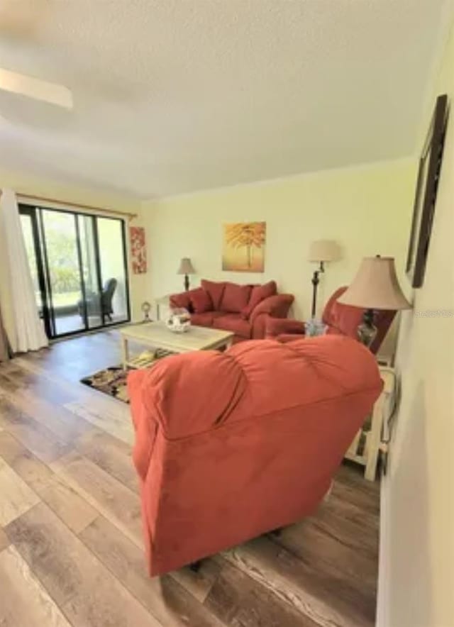 625 Duchess Blvd, Dunedin, FL 34698 - living room featuring wood-type flooring and a textured ceiling