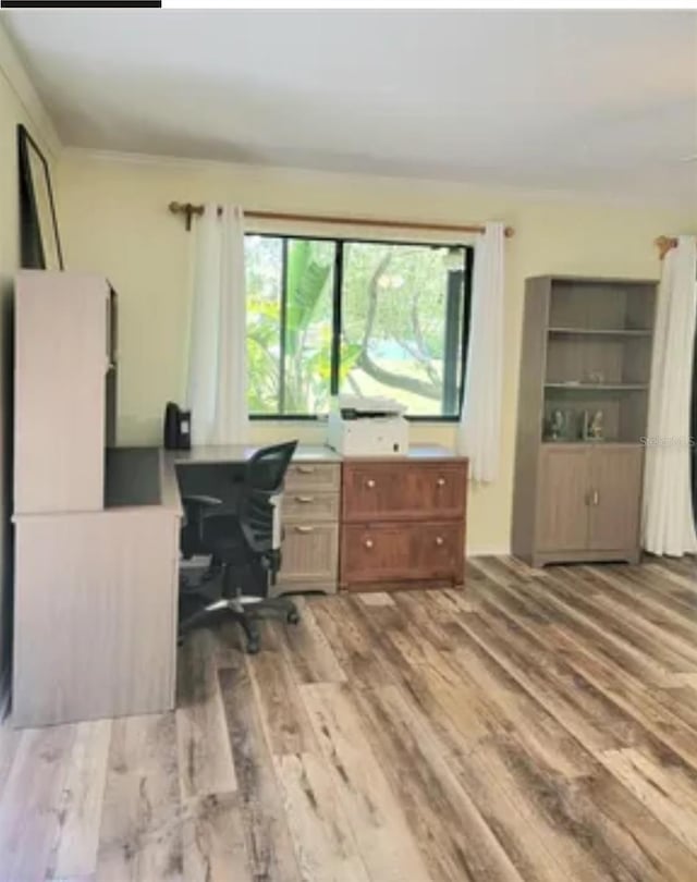 625 Duchess Blvd, Dunedin, FL 34698 - office space featuring light wood-type flooring
