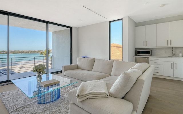 living room with light hardwood / wood-style flooring, expansive windows, and a water view