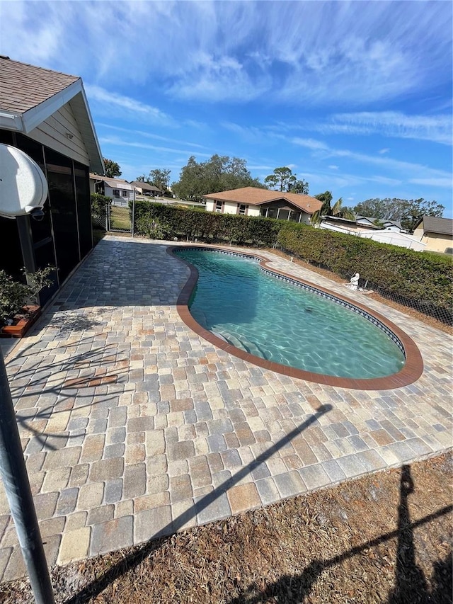 view of pool featuring a patio area