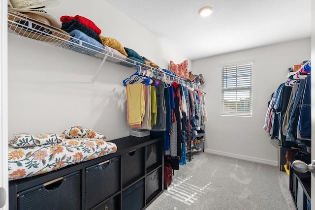 spacious closet with light carpet