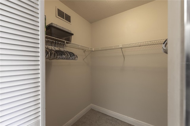 spacious closet featuring visible vents and carpet floors