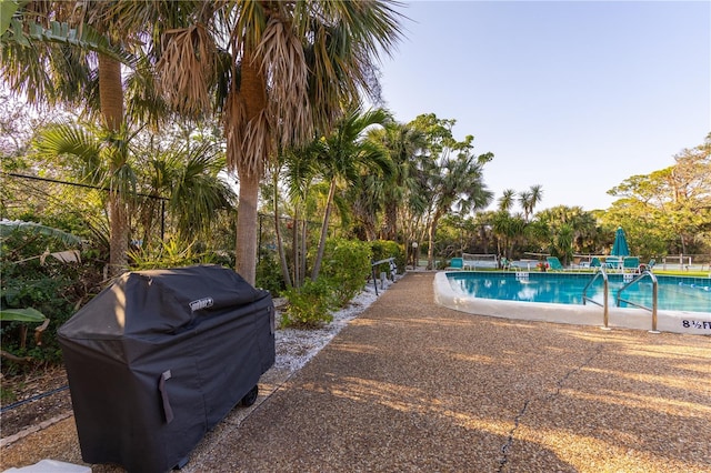 pool with area for grilling and a patio area