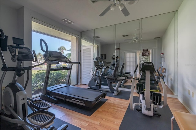 workout area featuring hardwood / wood-style flooring, a wealth of natural light, and ceiling fan