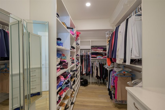 spacious closet with light wood-type flooring