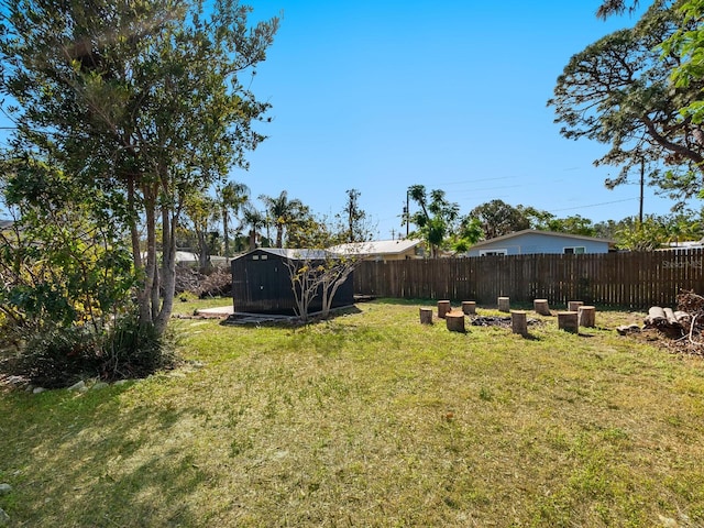 view of yard featuring a shed