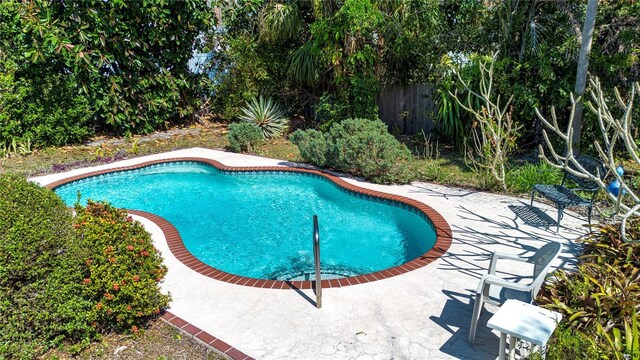 1555 Flower Dr, Sarasota, FL 34239 - view of pool featuring a patio