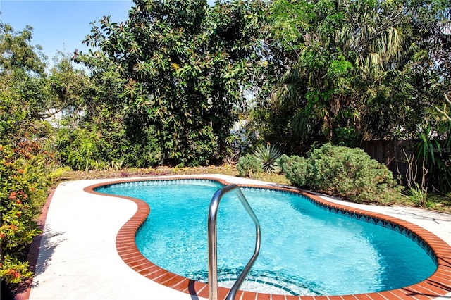1555 Flower Dr, Sarasota, FL 34239 - view of pool