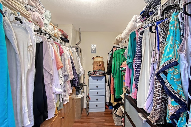 walk in closet featuring wood-type flooring