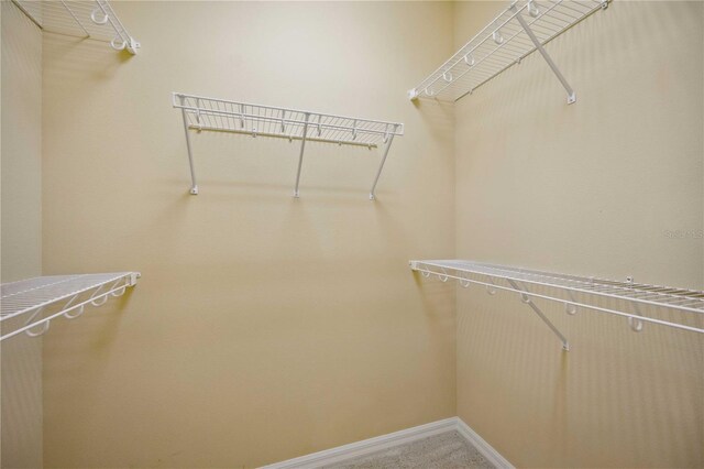 spacious closet with carpet flooring