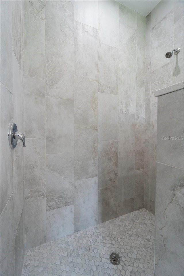18290 Grace Ave, Port Charlotte, FL 33948 - bathroom with a tile shower