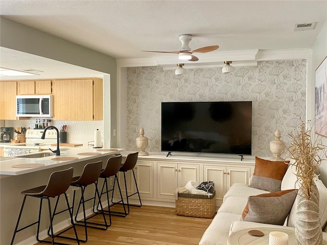 interior space featuring light hardwood / wood-style floors, sink, ornamental molding, and ceiling fan