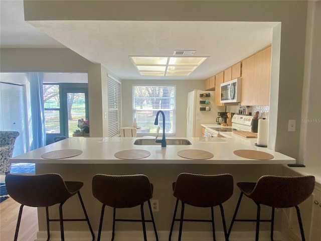 kitchen with white appliances, plenty of natural light, sink, and light brown cabinets