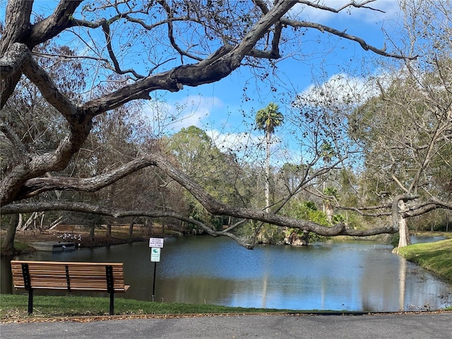 view of water feature