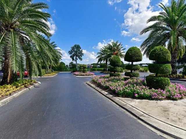 view of road featuring curbs