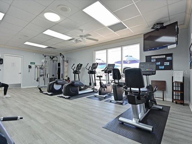 workout area with baseboards, wood finished floors, a paneled ceiling, and crown molding