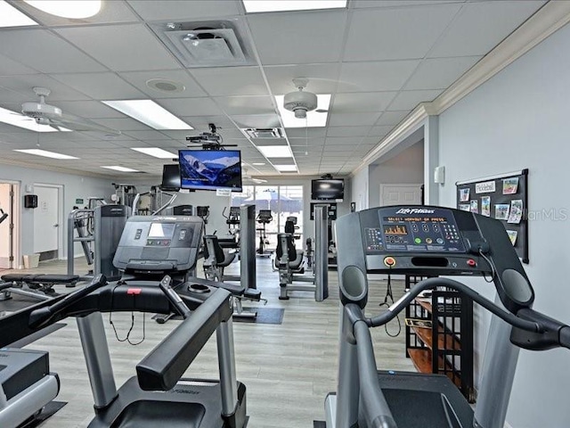 exercise room featuring visible vents, crown molding, a drop ceiling, and light wood finished floors