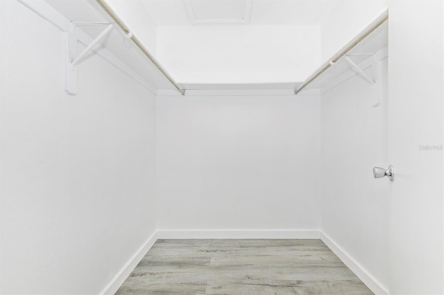 spacious closet with light wood-style floors