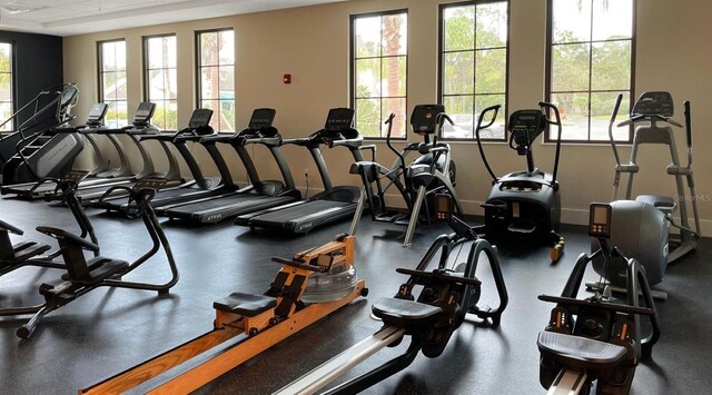 4060 Penshurst Park, Sarasota, FL 34235 - exercise room with a wealth of natural light