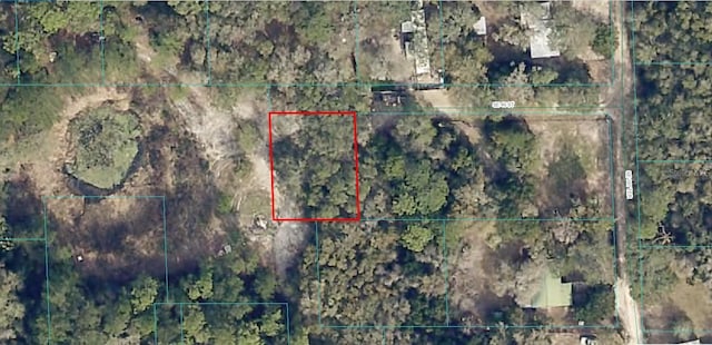 SE 46th St, Ocklawaha FL, 32179 land for sale