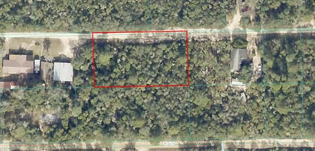 NE 233rd Pl, Fort Mc Coy FL, 32134 land for sale