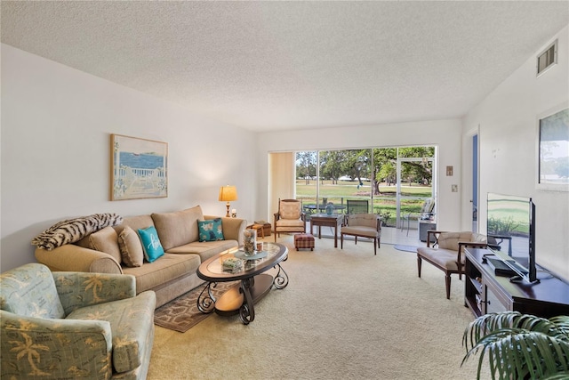 living room with a textured ceiling and carpet