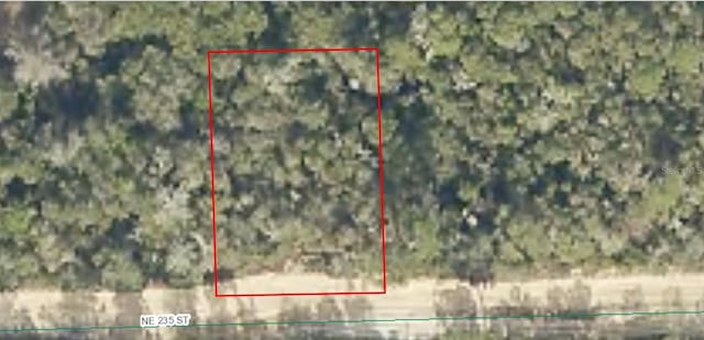 NE 235th St, Fort Mc Coy FL, 32134 land for sale