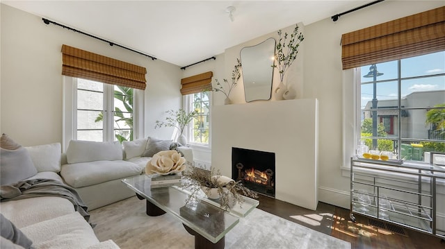 living room with dark hardwood / wood-style floors