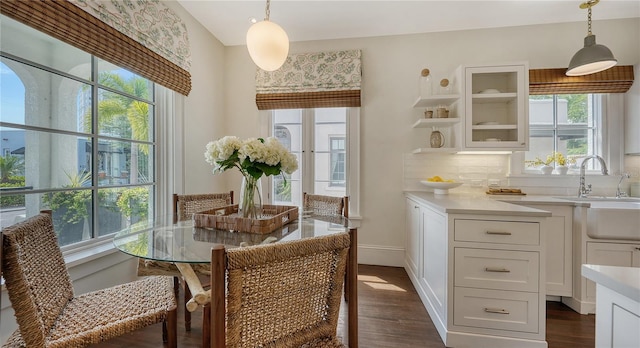 dining room with sink and dark hardwood / wood-style floors