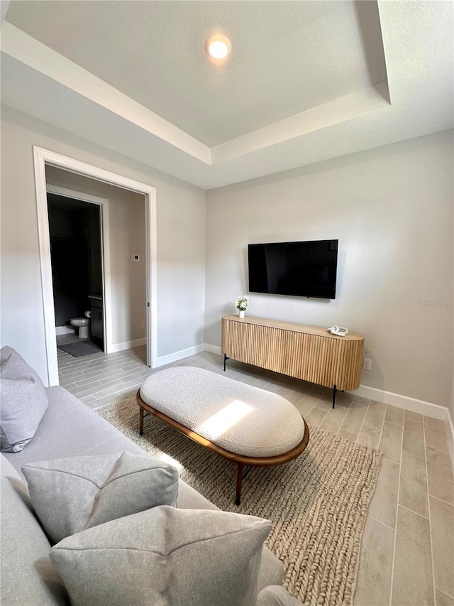 living room featuring a raised ceiling