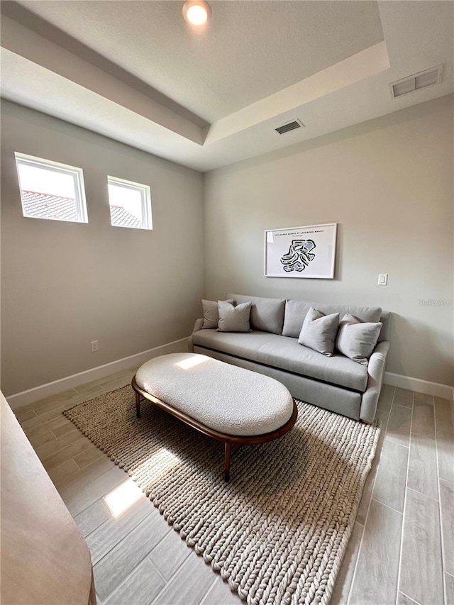 living room with a raised ceiling