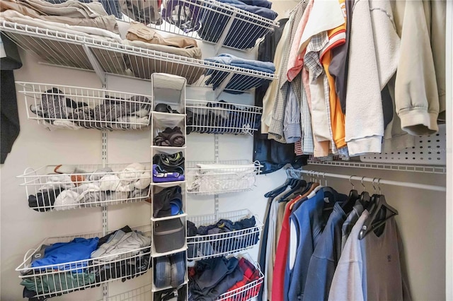 view of spacious closet