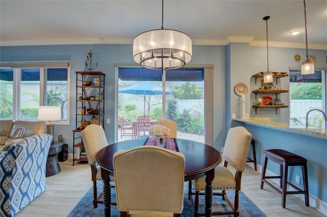 dining room with crown molding, a wealth of natural light, and light hardwood / wood-style floors