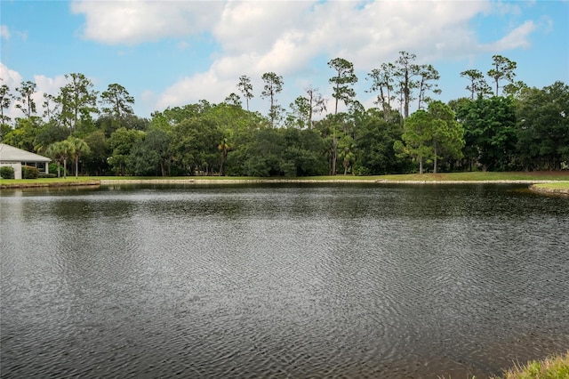 property view of water